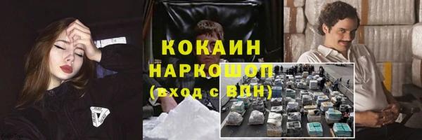 прущие грибы Слюдянка