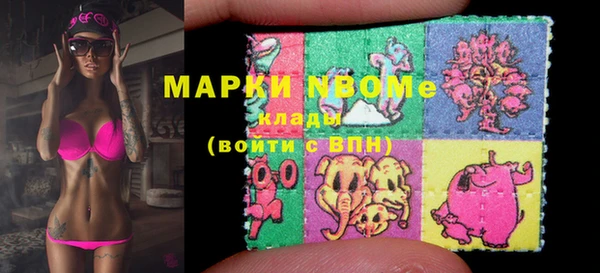 гидра Каменногорск