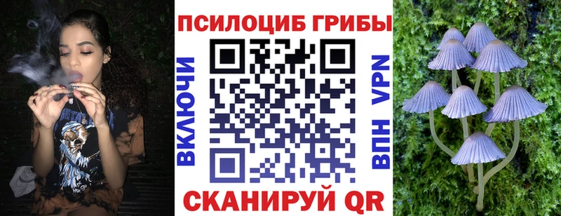 Псилоцибиновые грибы GOLDEN TEACHER  Белоусово 